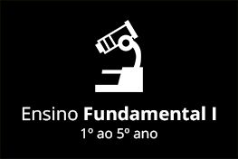 Ensino Fundamental I